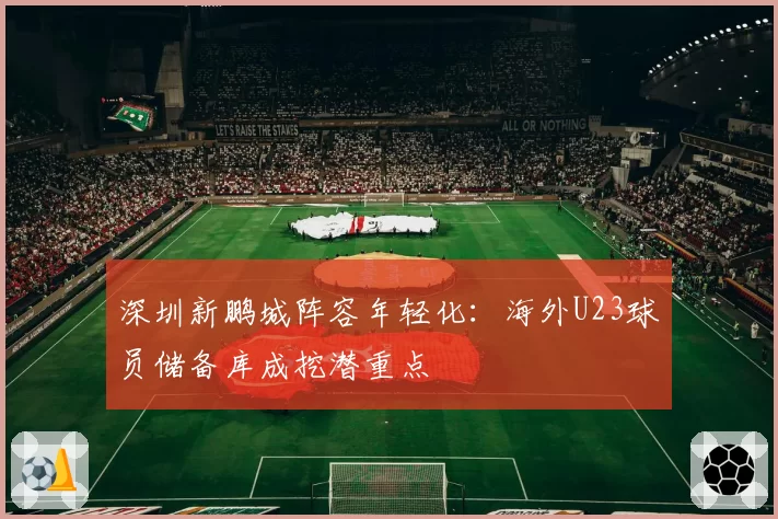 深圳新鹏城阵容年轻化：海外U23球员储备库成挖潜重点