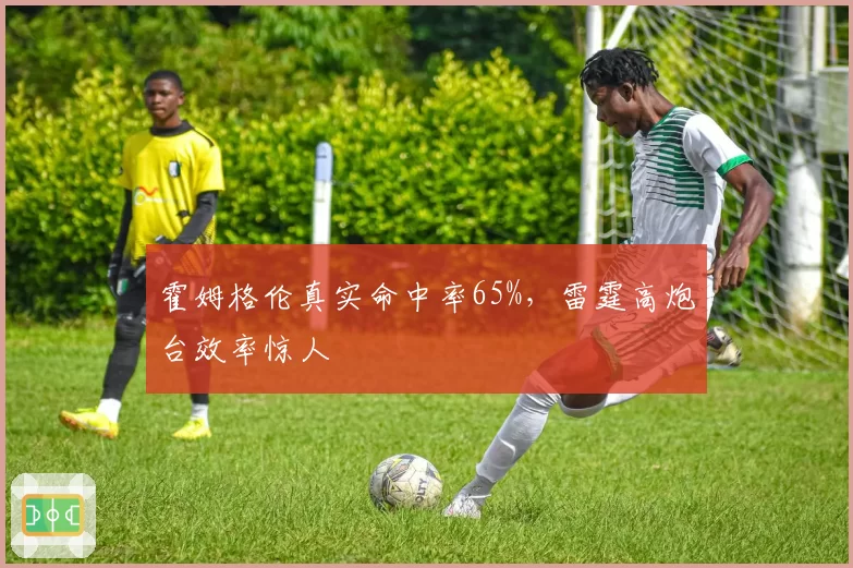 霍姆格伦真实命中率65%，雷霆高炮台效率惊人